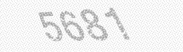 Visual security code — type the characters shown in the image